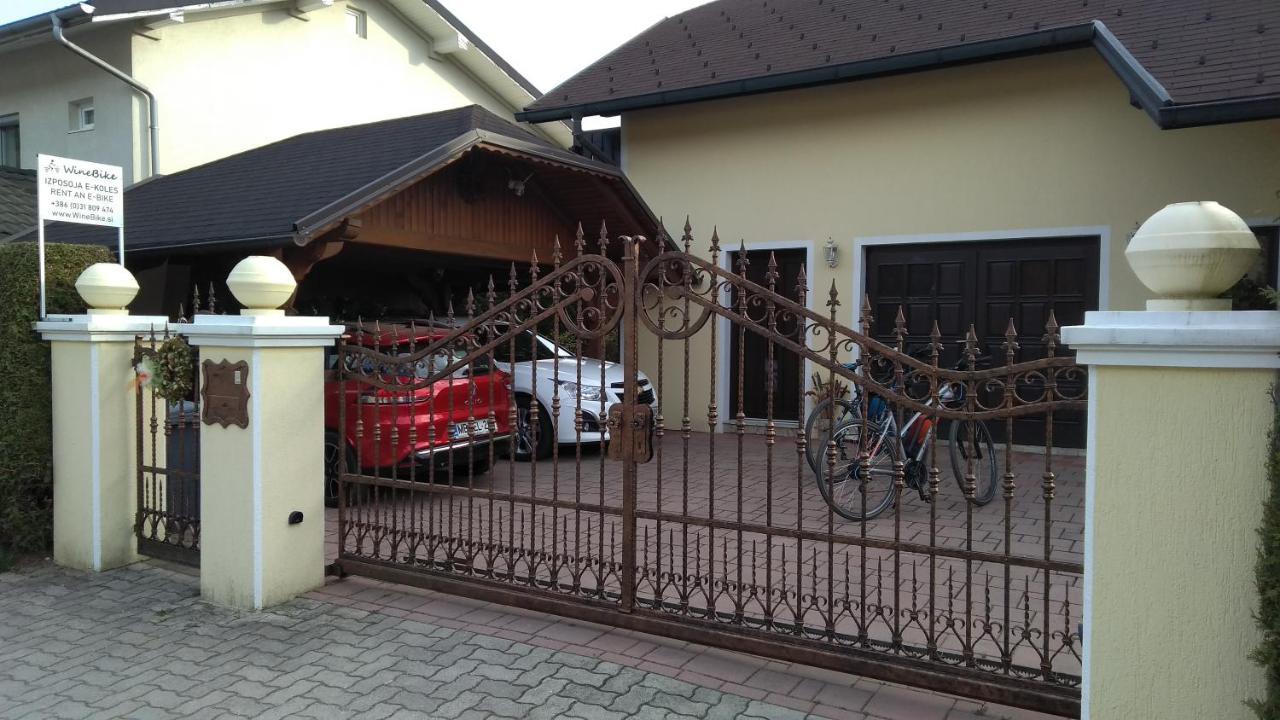 Apartma Golob Zgornja Kungota エクステリア 写真