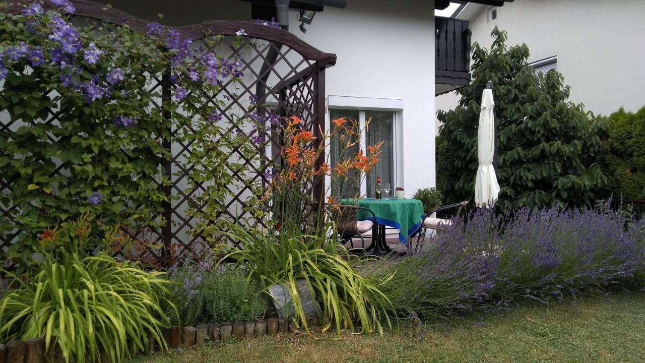 Apartma Golob Zgornja Kungota エクステリア 写真